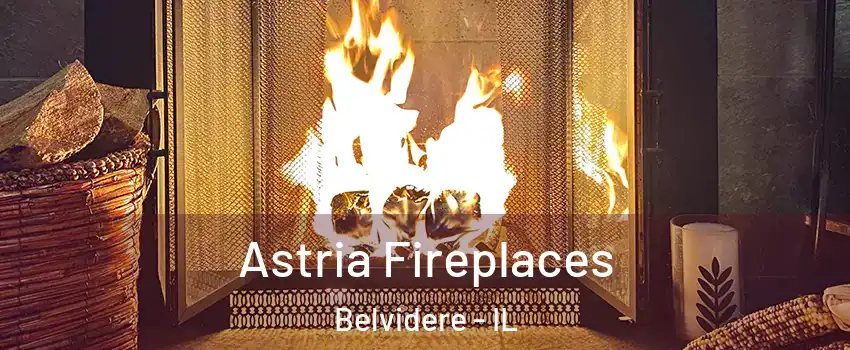  Astria Fireplaces Belvidere - IL