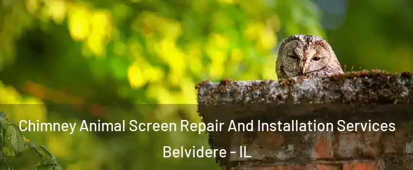  Chimney Animal Screen Repair And Installation Services Belvidere - IL