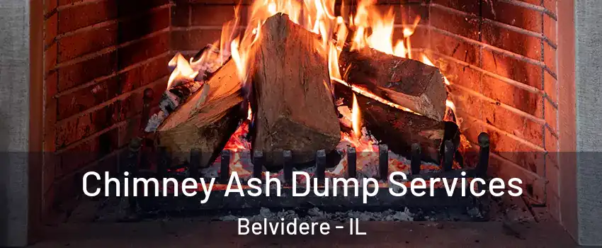  Chimney Ash Dump Services Belvidere - IL
