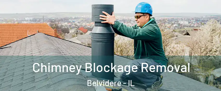  Chimney Blockage Removal Belvidere - IL