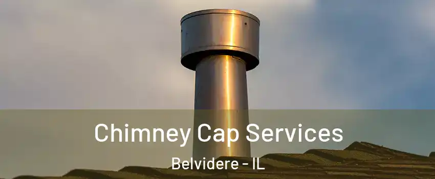 Chimney Cap Services Belvidere - IL