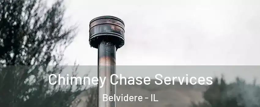  Chimney Chase Services Belvidere - IL