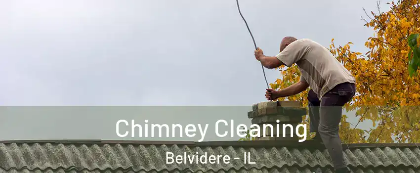  Chimney Cleaning Belvidere - IL