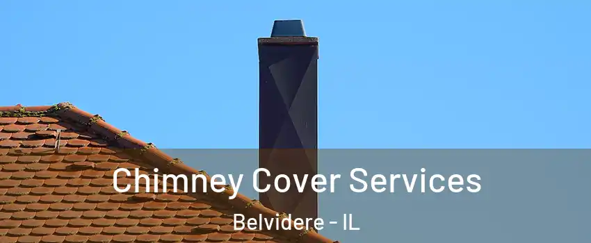  Chimney Cover Services Belvidere - IL