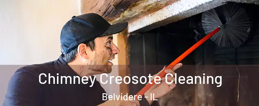  Chimney Creosote Cleaning Belvidere - IL