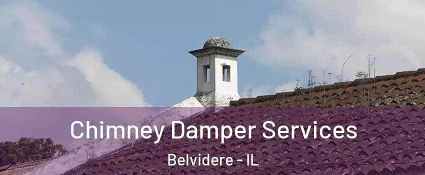  Chimney Damper Services Belvidere - IL