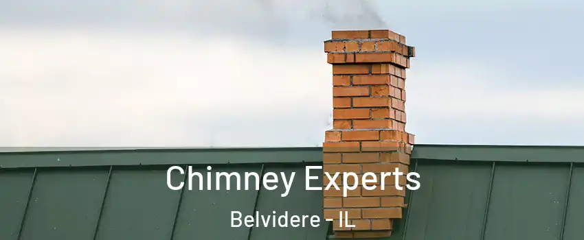  Chimney Experts Belvidere - IL
