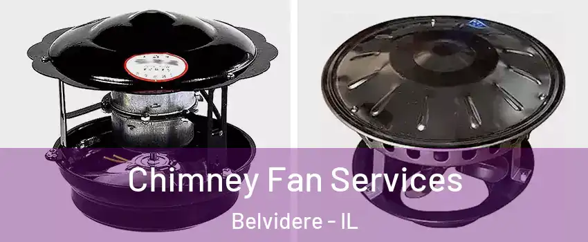  Chimney Fan Services Belvidere - IL
