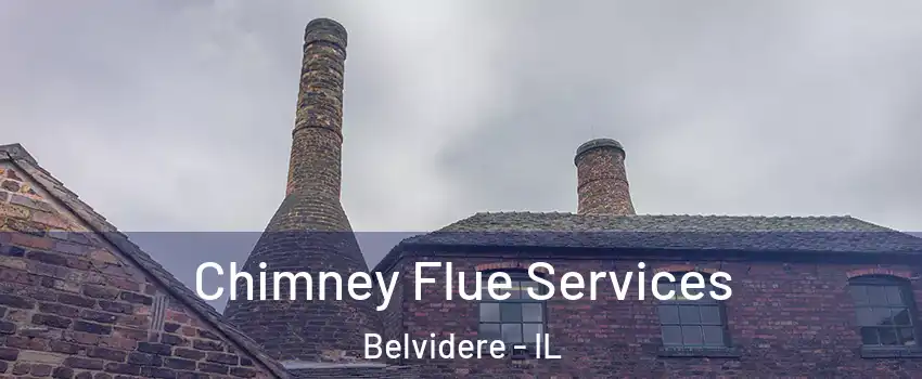  Chimney Flue Services Belvidere - IL