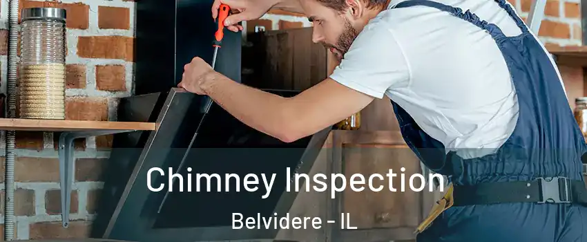  Chimney Inspection Belvidere - IL
