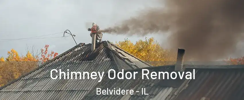  Chimney Odor Removal Belvidere - IL
