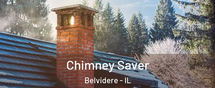  Chimney Saver Belvidere - IL