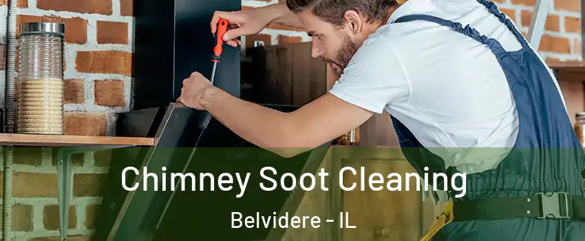  Chimney Soot Cleaning Belvidere - IL