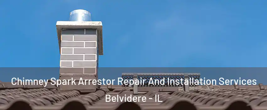  Chimney Spark Arrestor Repair And Installation Services Belvidere - IL