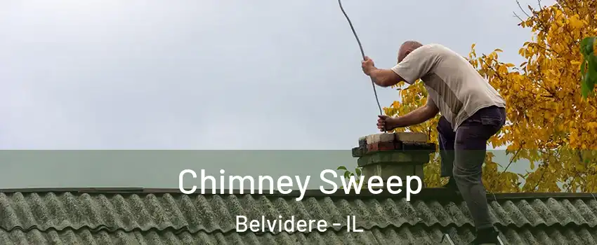  Chimney Sweep Belvidere - IL