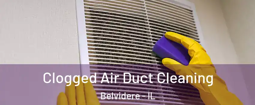  Clogged Air Duct Cleaning Belvidere - IL