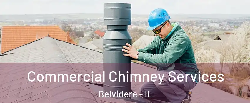  Commercial Chimney Services Belvidere - IL