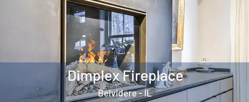  Dimplex Fireplace Belvidere - IL