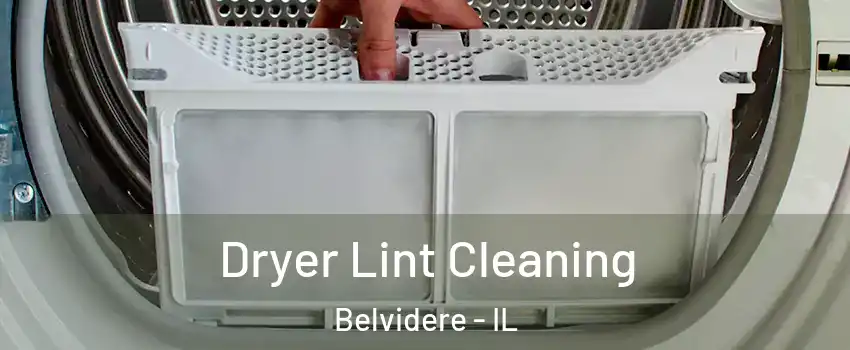  Dryer Lint Cleaning Belvidere - IL