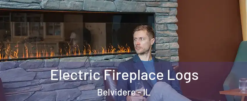  Electric Fireplace Logs Belvidere - IL