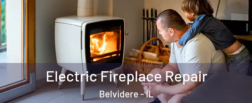  Electric Fireplace Repair Belvidere - IL