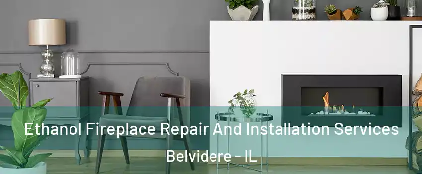  Ethanol Fireplace Repair And Installation Services Belvidere - IL