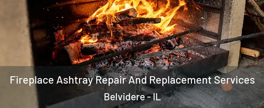  Fireplace Ashtray Repair And Replacement Services Belvidere - IL