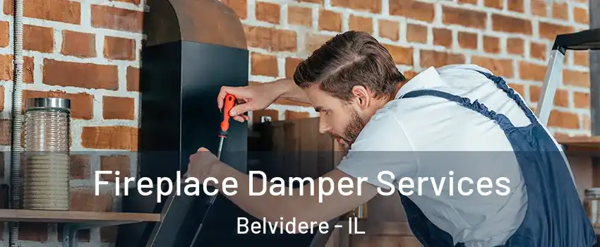  Fireplace Damper Services Belvidere - IL