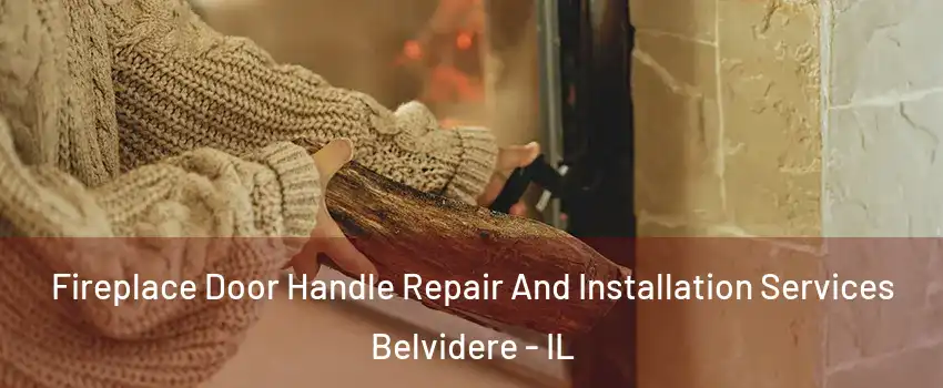  Fireplace Door Handle Repair And Installation Services Belvidere - IL