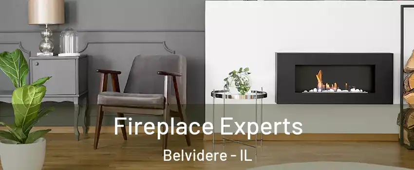  Fireplace Experts Belvidere - IL