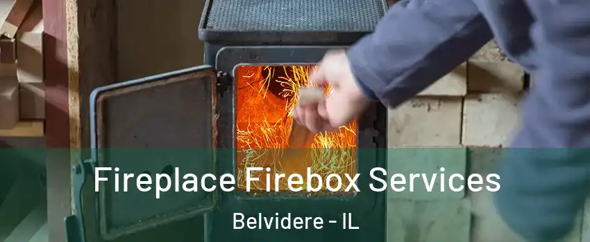  Fireplace Firebox Services Belvidere - IL