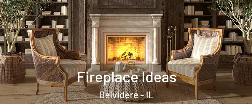  Fireplace Ideas Belvidere - IL
