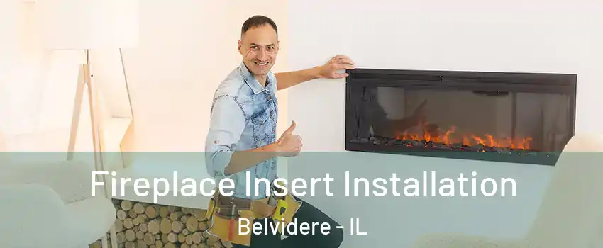  Fireplace Insert Installation Belvidere - IL