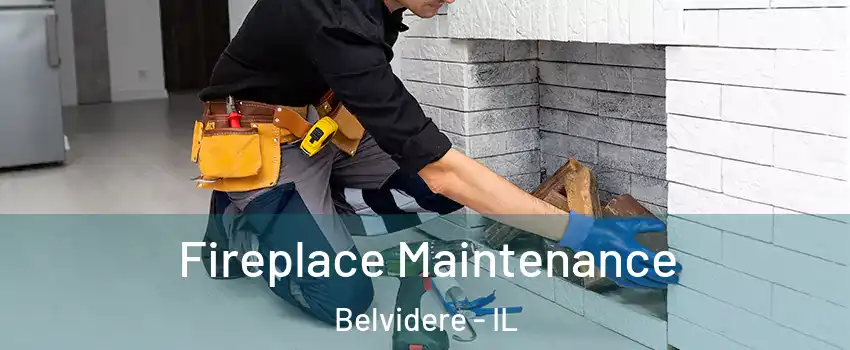 Fireplace Maintenance Belvidere - IL