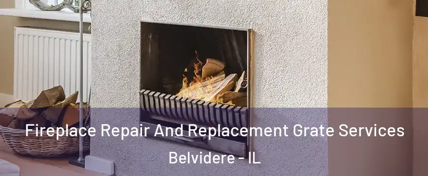  Fireplace Repair And Replacement Grate Services Belvidere - IL