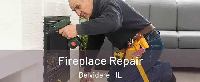  Fireplace Repair Belvidere - IL