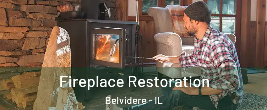  Fireplace Restoration Belvidere - IL