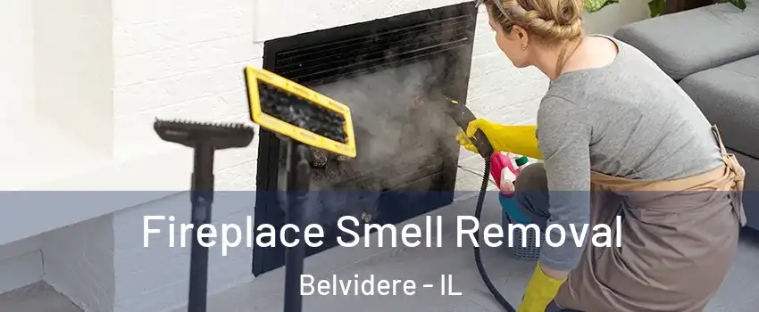  Fireplace Smell Removal Belvidere - IL