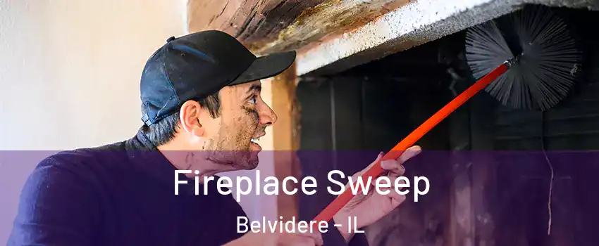  Fireplace Sweep Belvidere - IL