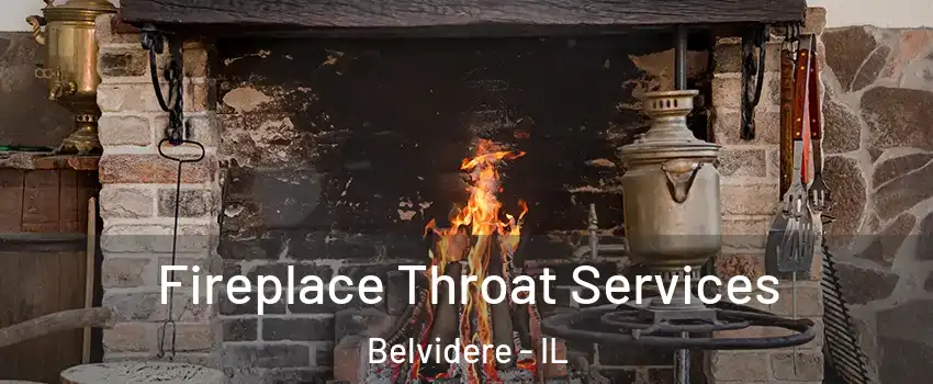  Fireplace Throat Services Belvidere - IL