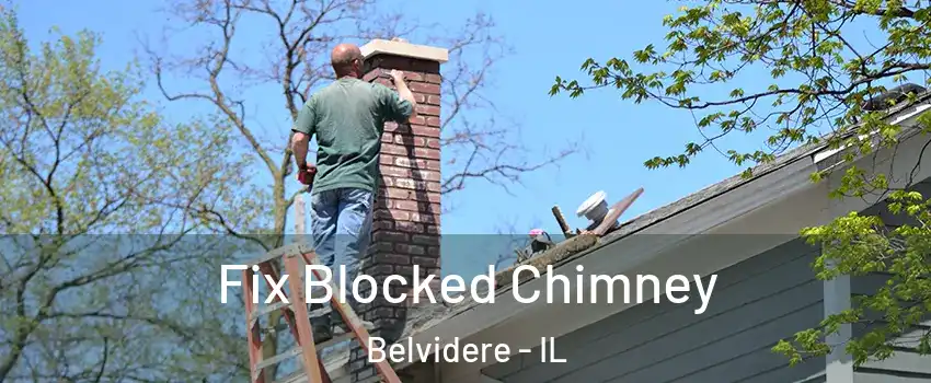  Fix Blocked Chimney Belvidere - IL