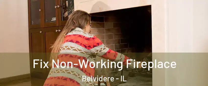  Fix Non-Working Fireplace Belvidere - IL