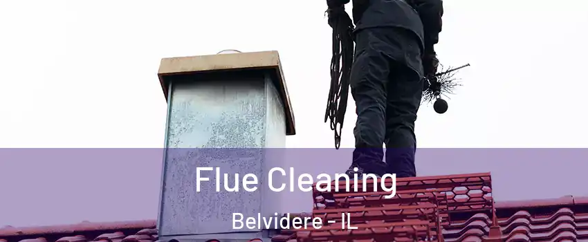  Flue Cleaning Belvidere - IL