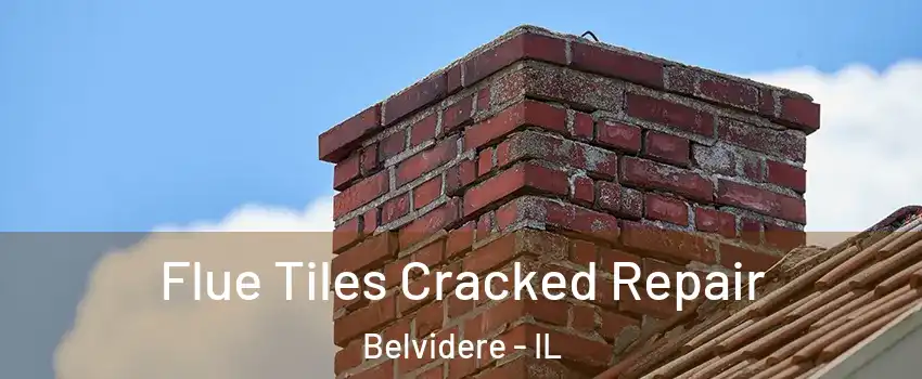  Flue Tiles Cracked Repair Belvidere - IL