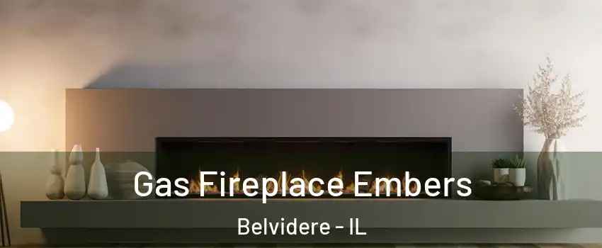  Gas Fireplace Embers Belvidere - IL
