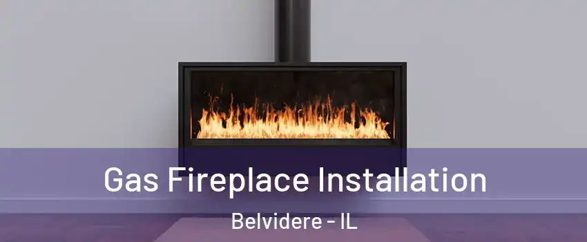  Gas Fireplace Installation Belvidere - IL