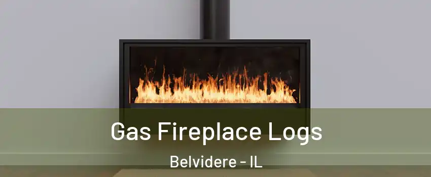  Gas Fireplace Logs Belvidere - IL