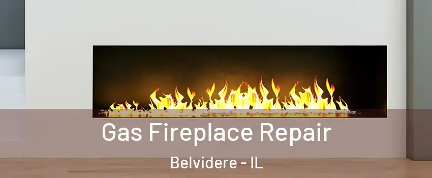 Gas Fireplace Repair Belvidere - IL
