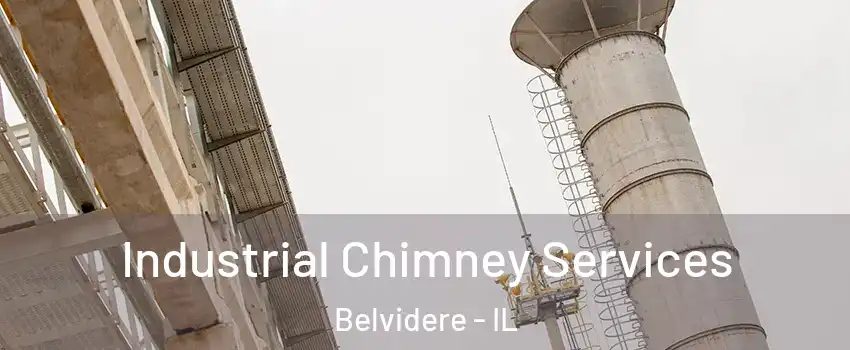  Industrial Chimney Services Belvidere - IL