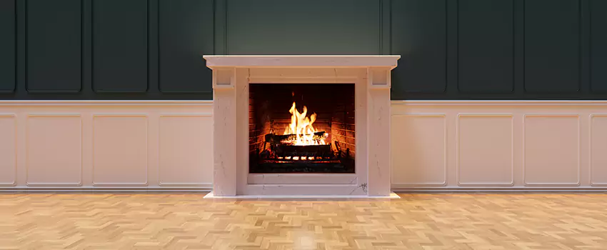 Napoleon Electric Fireplaces Inspection Service in Belvidere, Illinois